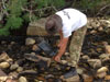 Survival Training